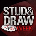 kampanjbild Stud & Draw