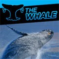 logo the whale